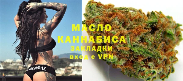 прущие грибы Сосновый Бор