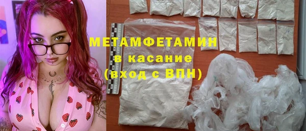 прущие грибы Сосновый Бор