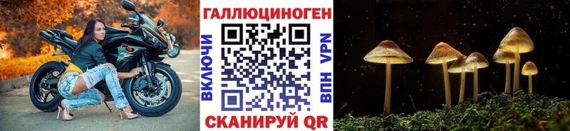 Псилоцибиновые грибы Psilocybine cubensis  наркошоп  Выборг 