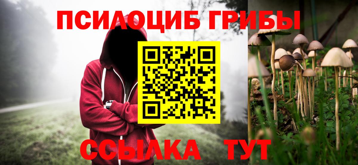 Псилоцибиновые грибы GOLDEN TEACHER  Галлюциногенные грибы Psilocybine cubensis  Выборг  Вход с VPN 